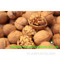 Walnut Kernels Light Amber Helften (LAH) voor geweldige smaak